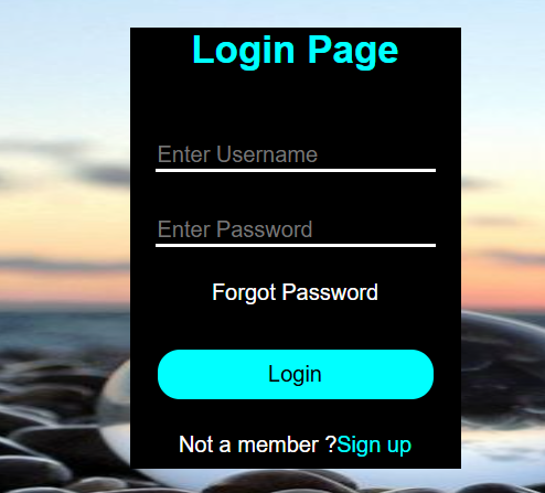 Login Page